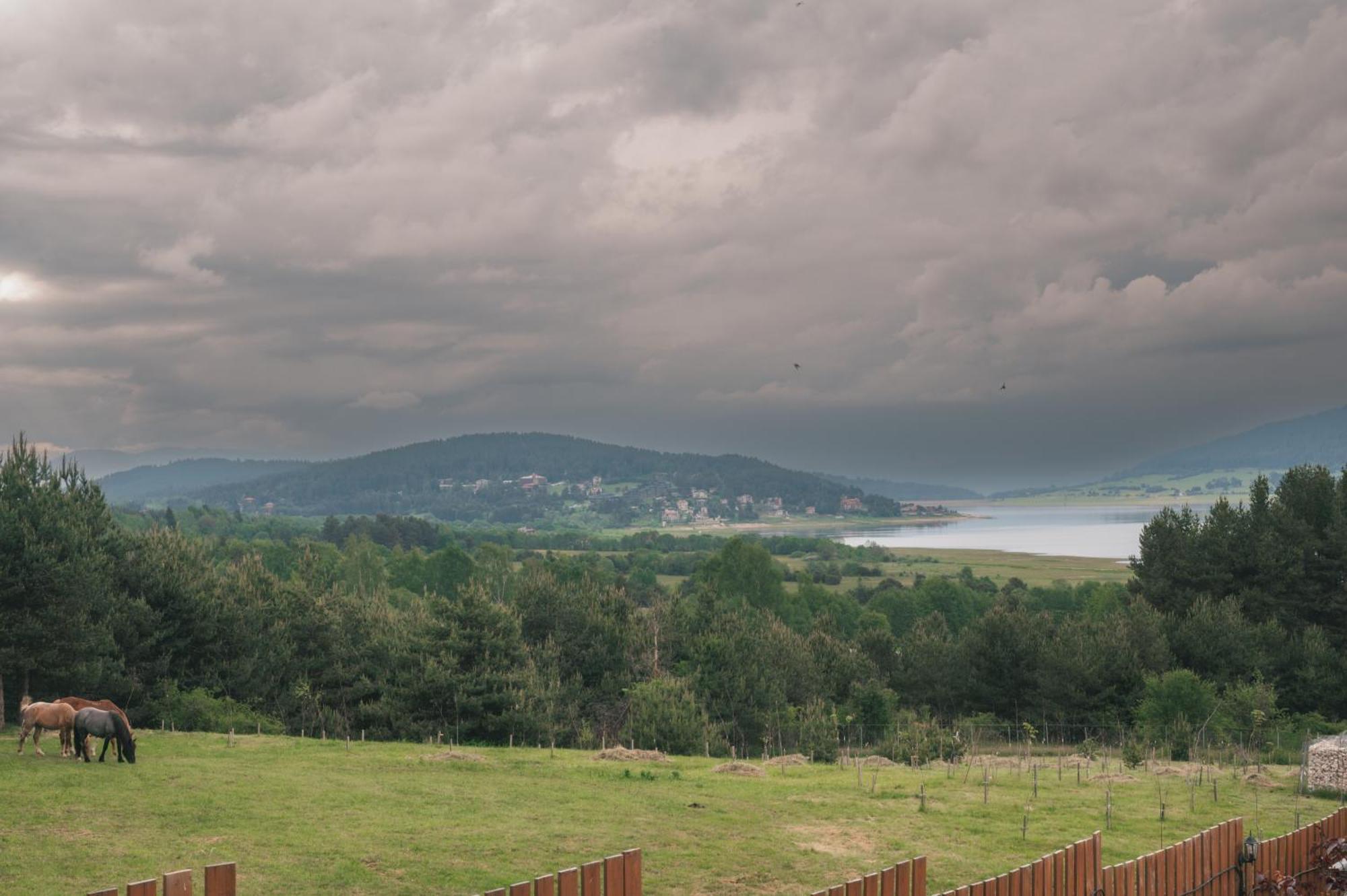 ציגוב צ'ארק Dakota Forest Retreat מראה חיצוני תמונה