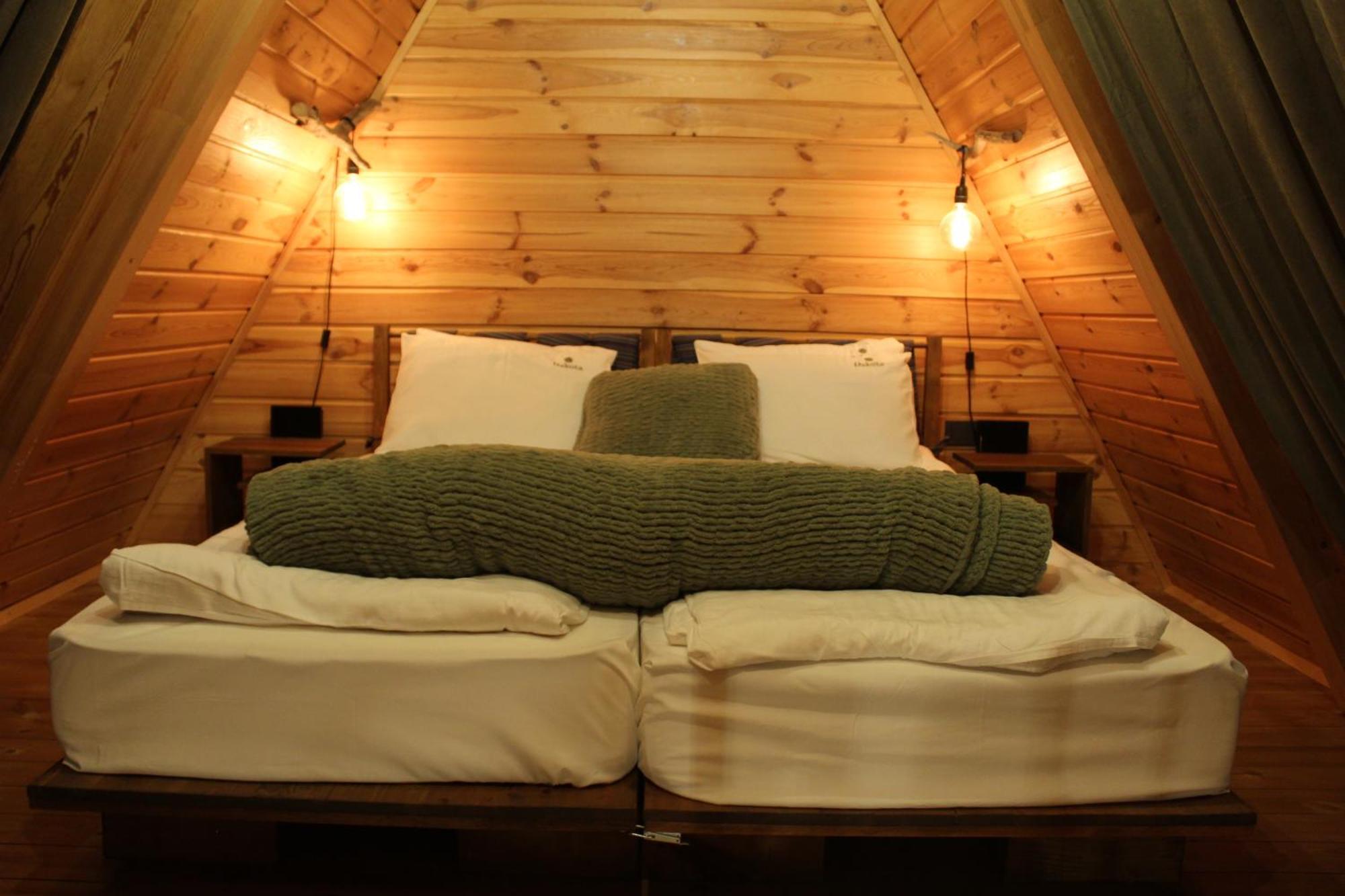 ציגוב צ'ארק Dakota Forest Retreat מראה חיצוני תמונה